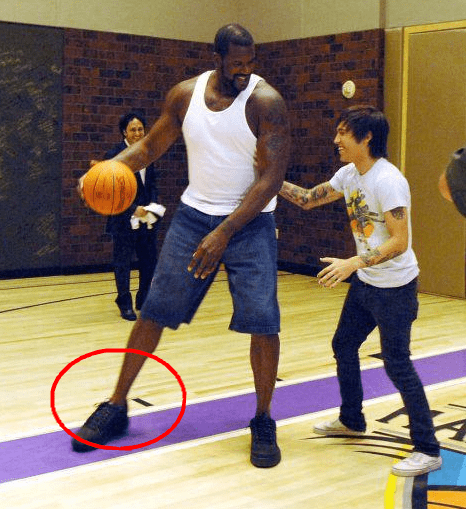 湖人vs太阳主裁：詹姆斯和裁判身体接触未发现违反体育道德的行为（湖人战太阳主裁判：詹姆斯与裁判的身体接触未构成违反体育道德）